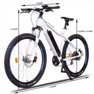 NCM Moscow E-MTB